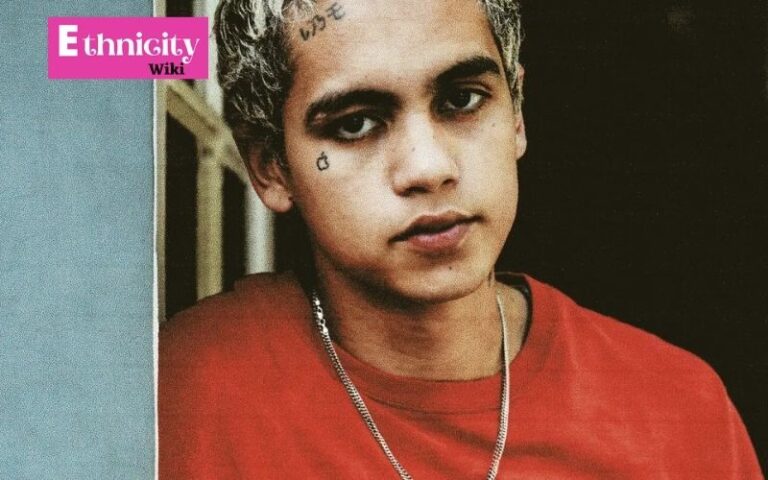 Dominic Fike Ethnicity, Wiki, Biography, Age, Parents, Girlfriend, Career, Net Worth & More